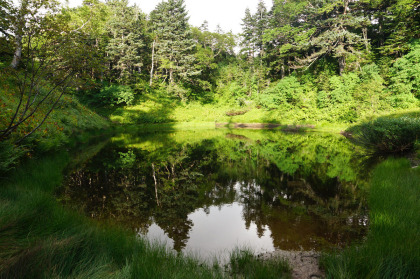 尾根の上にある池。いくつもありますが、大半は夏の間に涸れてしまうようです。