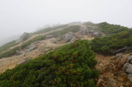 餓鬼岳の山頂。雨と霧で何も見えませんでした。