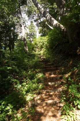 黒部湖から黒部平までは階段があるかなりの急坂です。