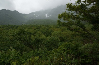 黒部平を過ぎると急に雨が降り出してきました。黒部湖の湖畔の道を歩いて居るときには暑い日差しがあり、青空が広がっていたのですが、天候は急変しました。