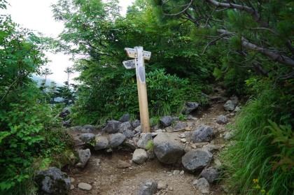 空木平の分岐。右に進むと駒石を経由して駒峰ヒュッテ、空木岳山頂に達します。空木平避難小屋へは左に進みます。