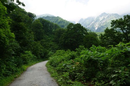 車道は開けているので白馬岳が見られます。