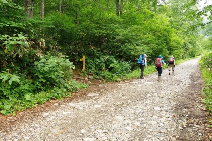 樹林の中の歩道を抜け車道に出ると、すぐに鑓温泉の道の分岐があります。