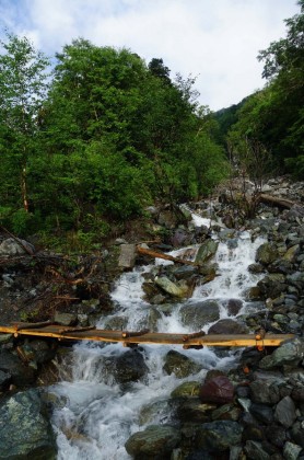 大樺沢を東岸に渡ります。