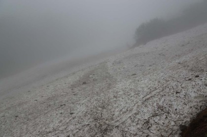 二俣から本格的な雪渓歩きとなります。雪の表面の空気が冷やされて凝固した水蒸気が霧となっていました。