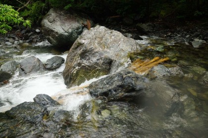 すぐにまた、沢に降りて、水の中を歩かされます。岩に流された丸木橋が架かっていました。