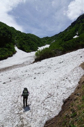 二俣の分岐から見た大樺沢の雪渓。