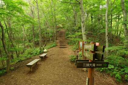 三頭山の南がわのコル。