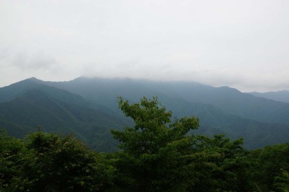 景観に恵まれない登山道ですが、わずかに三頭山が見えました。
