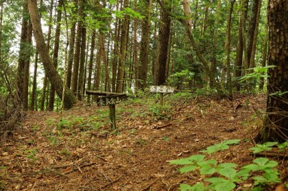 奈良倉山の山頂。無愛想なくらいに何もない頂が小気味よいです。