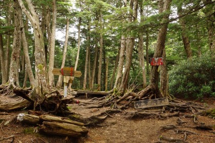 大日岩の分岐。