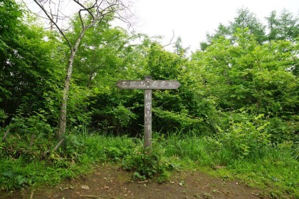 槇寄山の山頂。