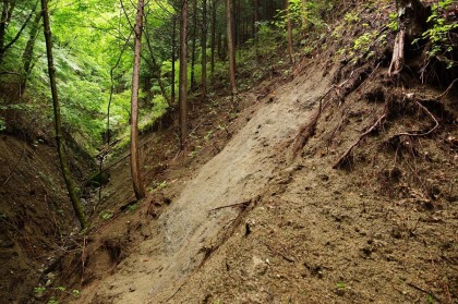 土砂で登山道が流失したのか、この先30mほど、道がありませんでした。この斜面を登って行くと、道が再び現れます。