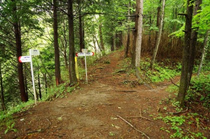 金山峠。峠の尾根を越えると林道に出ます。