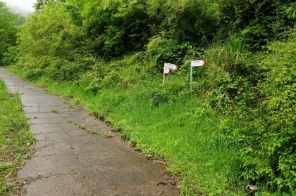 少し舗装林道を歩くと、再び登山道に入ります。あるく人が少ない様で、登山口の辺りは雑草で覆われていました。標識無ければ見落とすかもしれません。