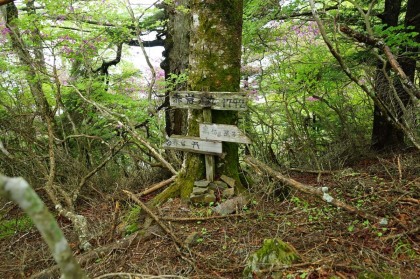 大峠から西に登ると、赤岩丸までが急坂の道です。この赤岩丸を過ぎると斜面は緩やかとなります。