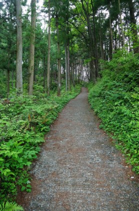 歩道に入りました。