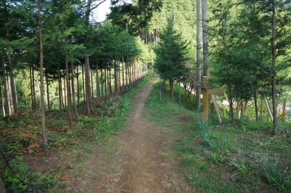 金比羅山を過ぎると勾配がほとんど無い道となります。