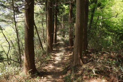 御岳山を越えると、また勾配の緩やかな道になります。