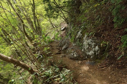 大岳山の手前の岩の道。