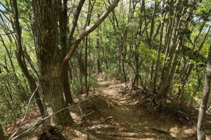 大岳山から鋸岳まではなだらかな降り道です。