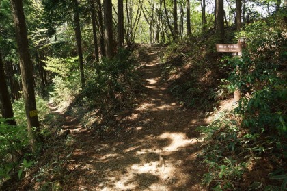 鋸山の南側の分岐。大ダワ峠から御前山に行きます。