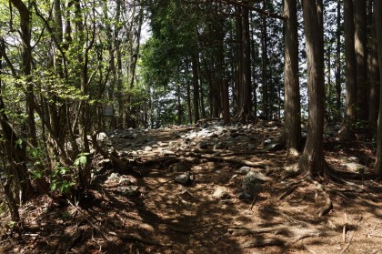 鋸山の山頂。