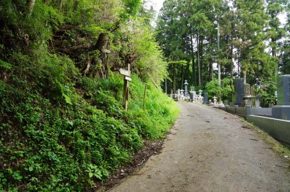 御前山の登山口まで30分ほど車道を歩きます。