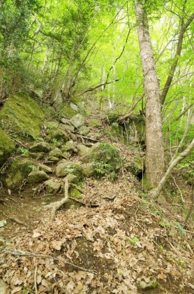 なかなか強烈な御前山の急峻な登り。