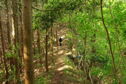 御前山の西側の道も勾配は急で階段の様です。下りきった鞍部に三叉路があります。