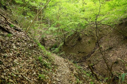 西に道を進めると、枯れた沢を渡って、尾根の上に出る道をたどります。