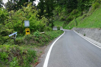 新大地峠の下の舗装林道を横切ります。