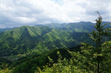 伐採の跡地から丹沢の山並みが一望できます。