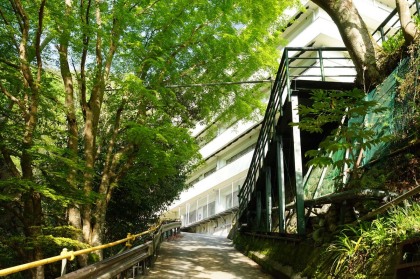 ややマイナーな道の東京高尾病院前から琵琶滝の道に抜ける歩道を歩きます。