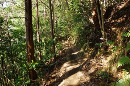 久しぶりに開通した3号路。