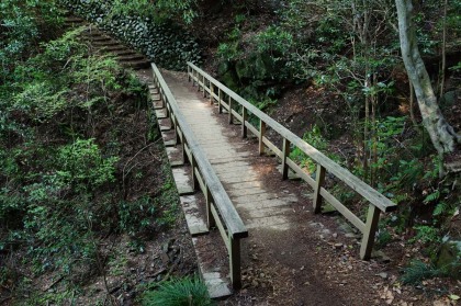 沢に架けられた橋。