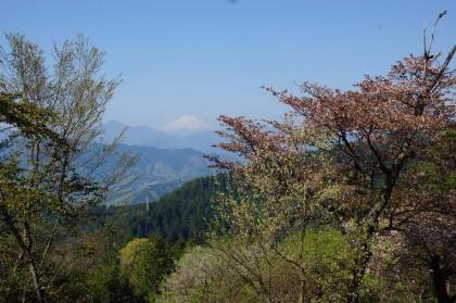 富士山の遠景。