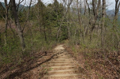 和田峠への降り道。階段が峠まで続きます。