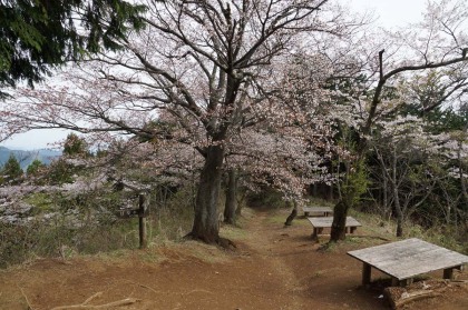 甘草水の休憩場所。