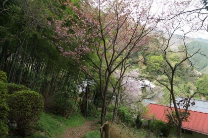 鎌沢の集落。