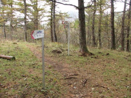 滝子山の分岐。踏み跡も落ち葉に半ば埋もれて道を見失いがちです。