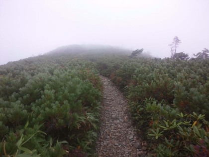 爺ヶ岳に登って行きます。