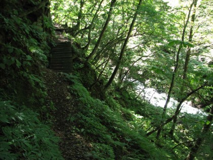 島々谷の南沢に沿って徳本峠を目指します。