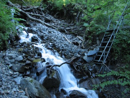 荒々しい沢筋に沿って登山道があります。