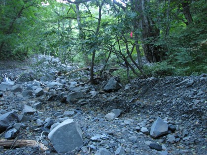 わずかなマーキングが頼りの道。