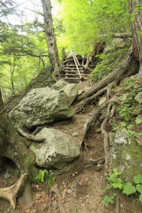 岩に架けられた階段。