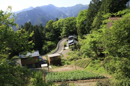 舗装林道を歩いてゆきますが、民家が点在しています。