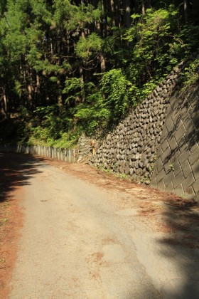 石尾根の登山口。