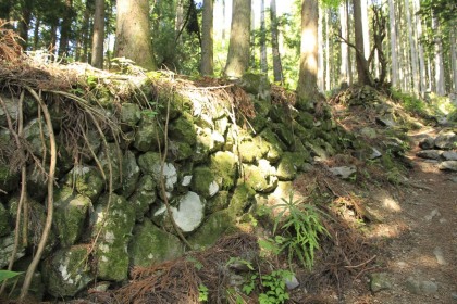 かつて集落があったのか、それとも出作の畑でもあったのか、古い石垣で囲われた区画が登山道の左右にありました。