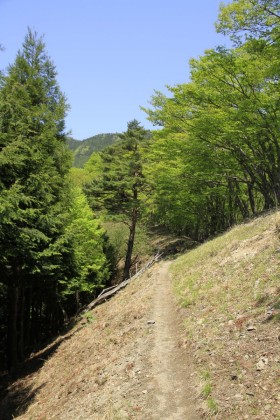 この辺り、左右に樹木が生えていて眺望はありませんが、空が開けて見えます。